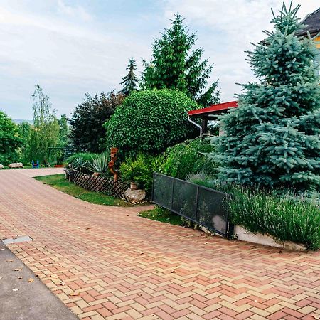 Penzion Labska Vyhlidka Litoměřice Kültér fotó